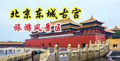 强上俄罗斯美女自慰中国北京-东城古宫旅游风景区